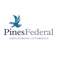 Attorneys & Law Firms Eric Pines in Houston TX